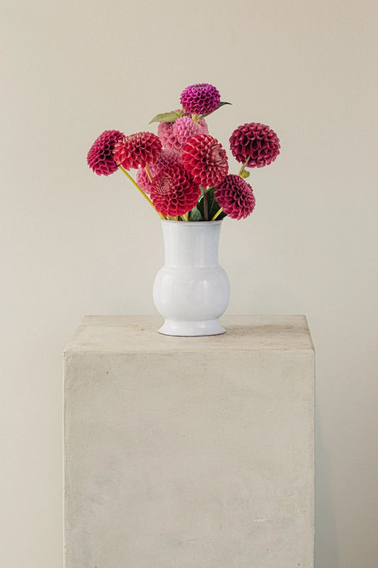 Astier de Villatte Colbert Vase