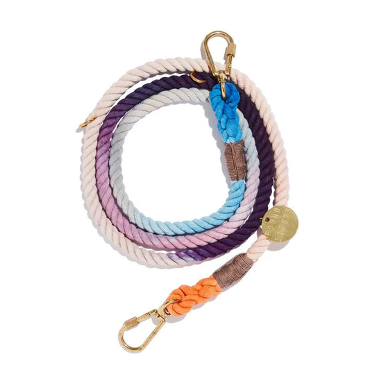 Ombré Dog Leash