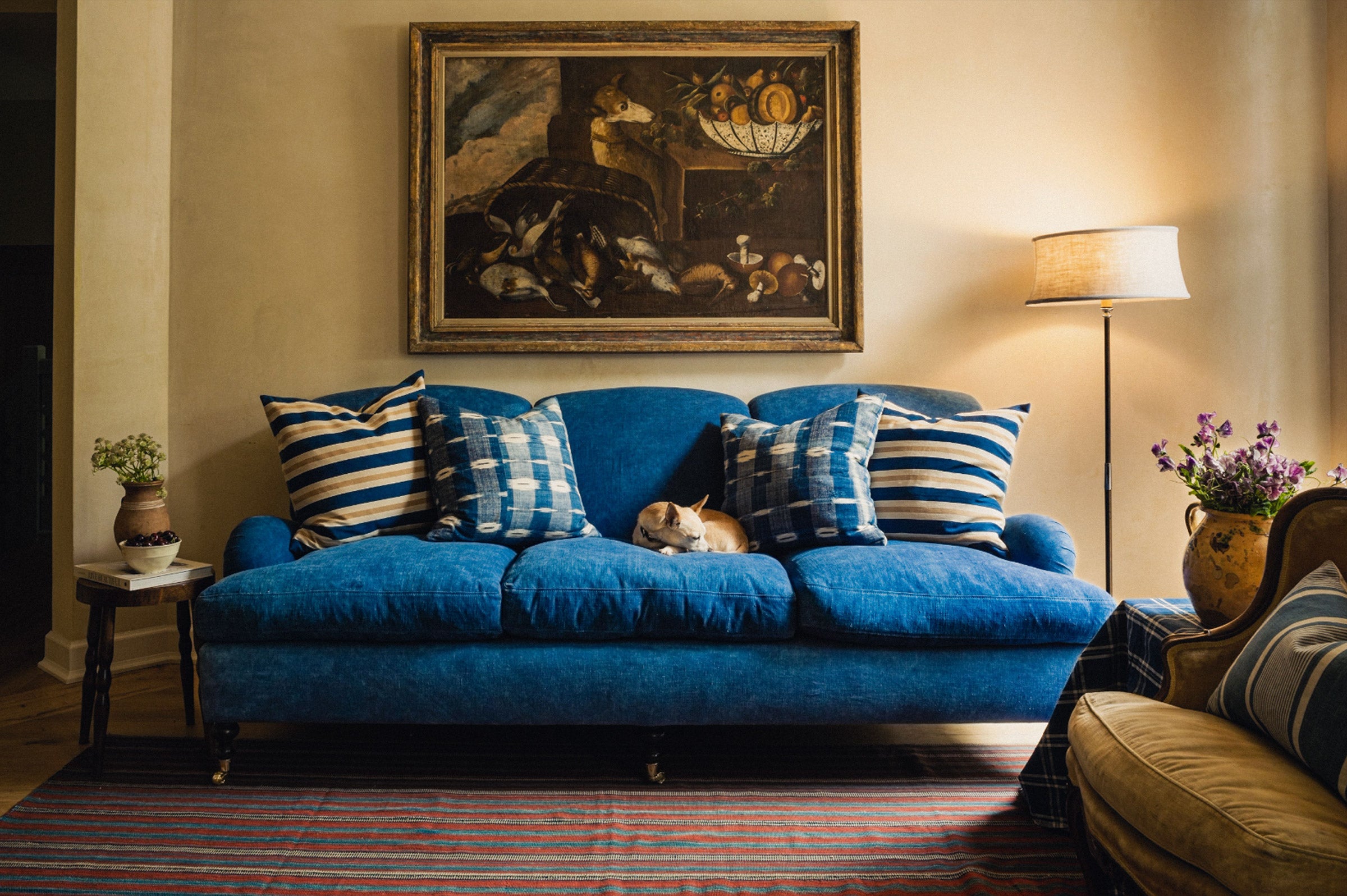 A cute little dog sleeps atop a blue sofa with striped cushions in a living room setting.