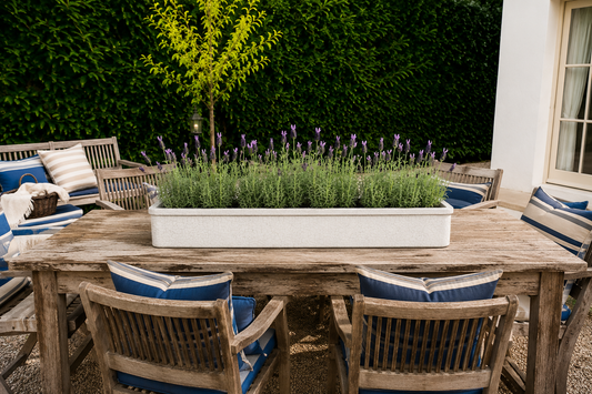 Outdoor patio setting with wooden table, chairs, and lavender in planter.