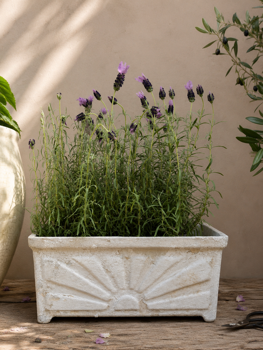 Decorative planter with greenery and purple flowers on a wooden surface.